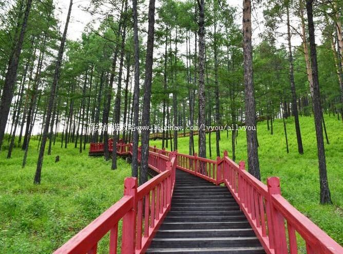 大兴安岭新林原林园旅游攻略