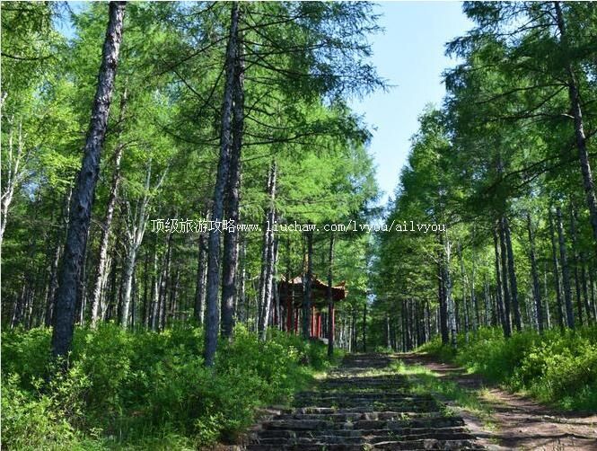 大兴安岭新林南山公园旅游攻略