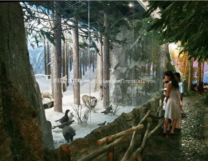 3A大兴安岭资源馆旅游攻略