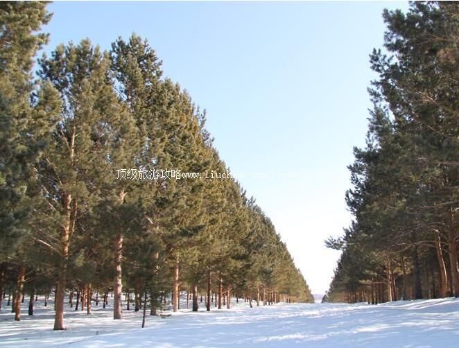 3A���˰�����Ķ����԰���ι���