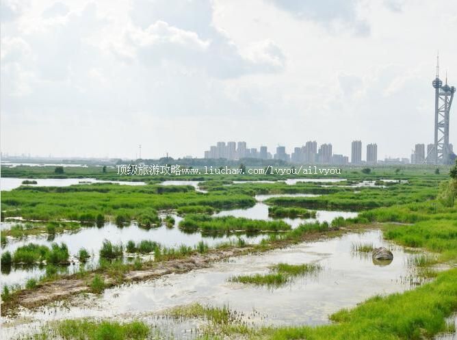 ��������ʪ����Ȼ���������ι���