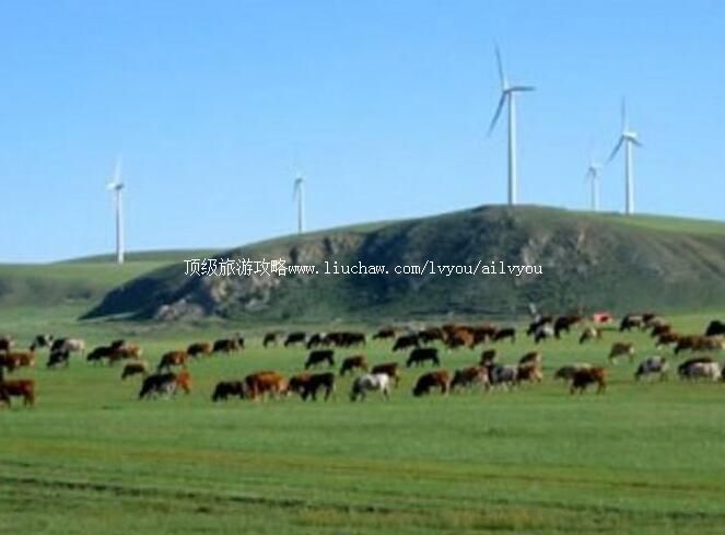 ���켪���������������ι���