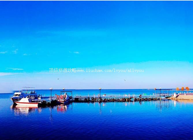 ����������̬�������ι���