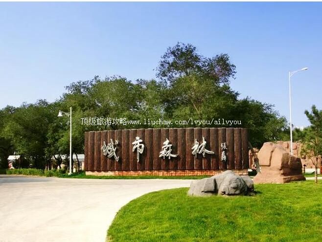 大庆城市森林公园旅游攻略