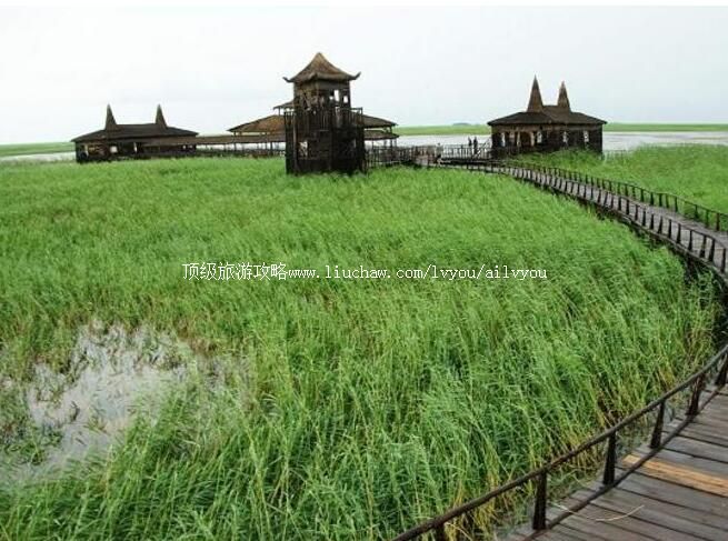 3A大庆珰奈湿地旅游攻略