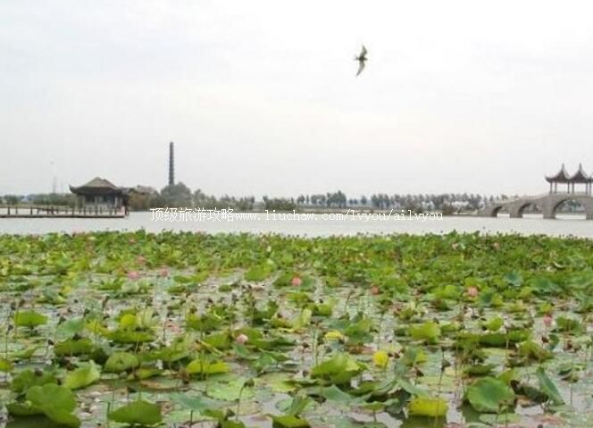 2A大庆龙凤公园旅游攻略