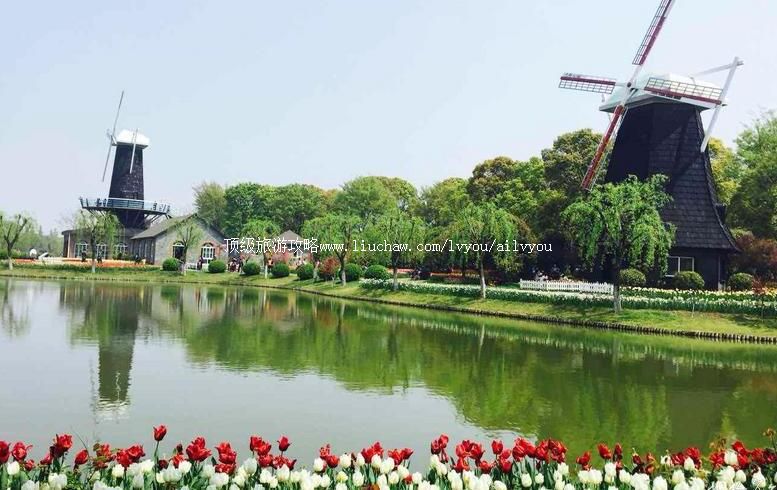 4A上海鲜花港旅游攻略