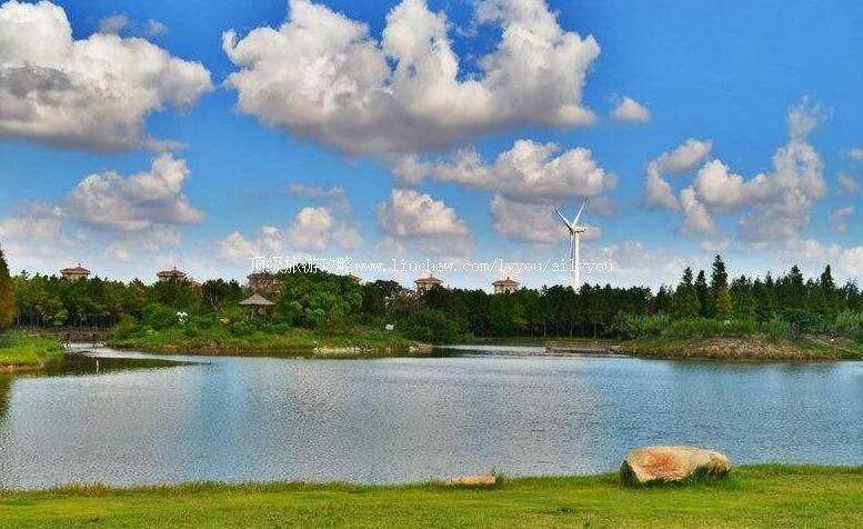 3A上海滨海森林公园旅游攻略