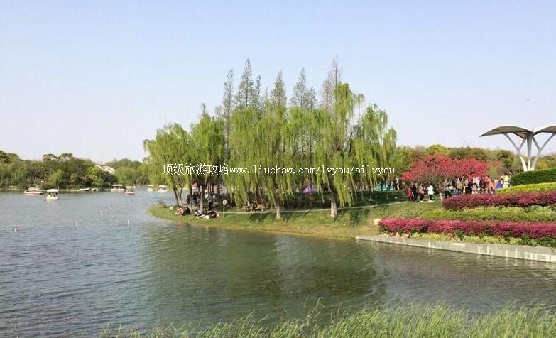 3A上海闵行体育公园旅游攻略