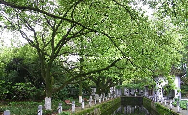 上海金山张堰公园旅游攻略