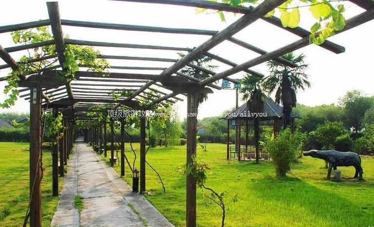 3A�Ϻ�������Է���ι���