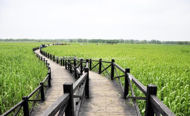 4A�Ϻ�������ɳ����ʪ�ع�԰���ι���