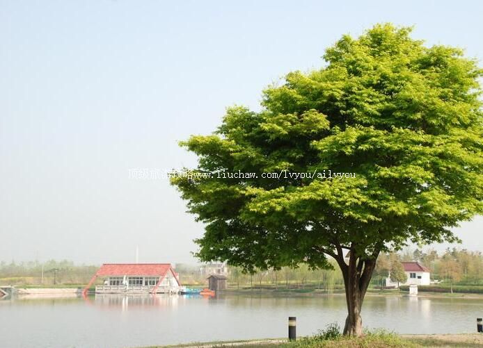 3A句容怡景湾度假村旅游攻略