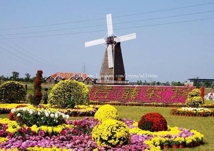 3A句容岩藤农场旅游攻略