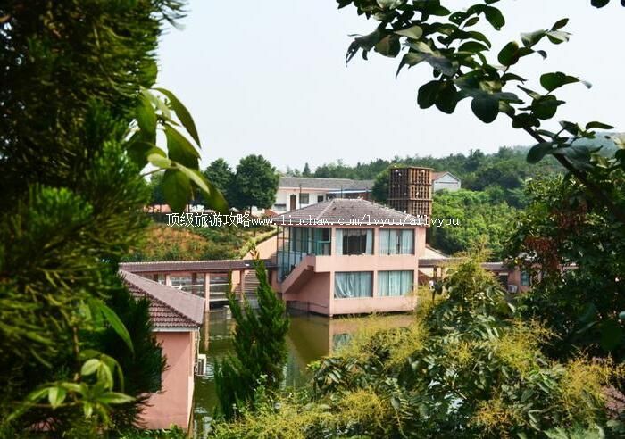 2A�򽭷��ɽׯ���ι���