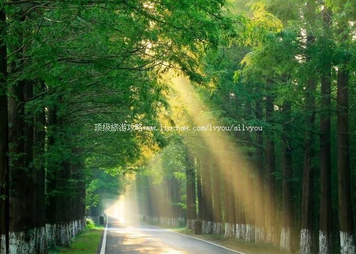 4A��̨�ƺ�ɭ�ֹ�԰���ι���