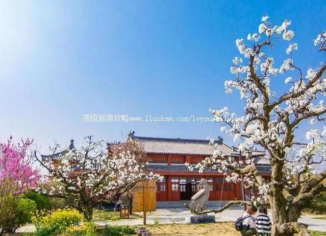 3A徐州丰县果都大观园旅游攻略