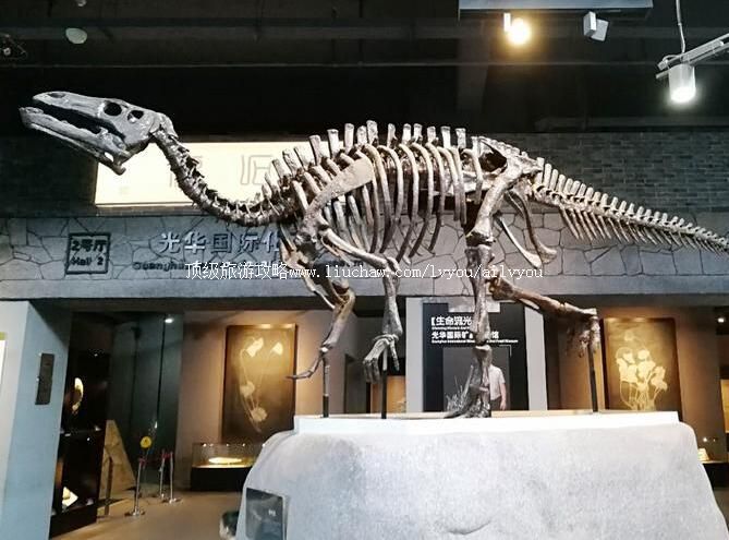 4A无锡中华赏石园旅游攻略