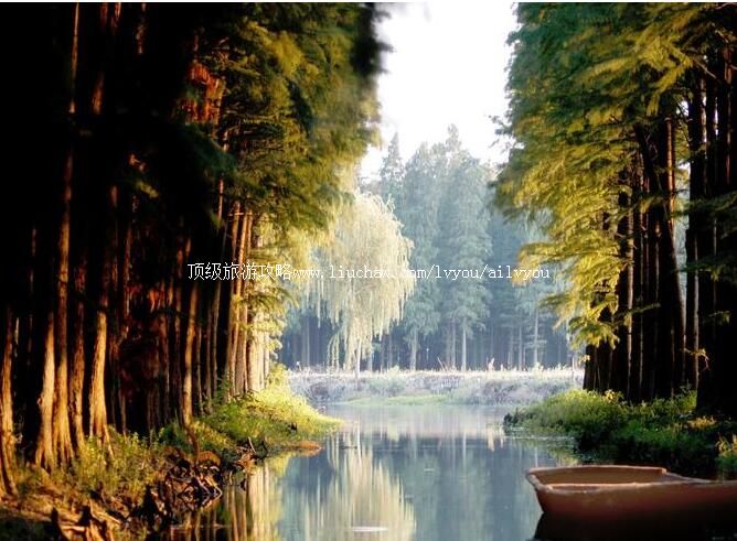 4A兴化李中水上森林景区旅游攻略