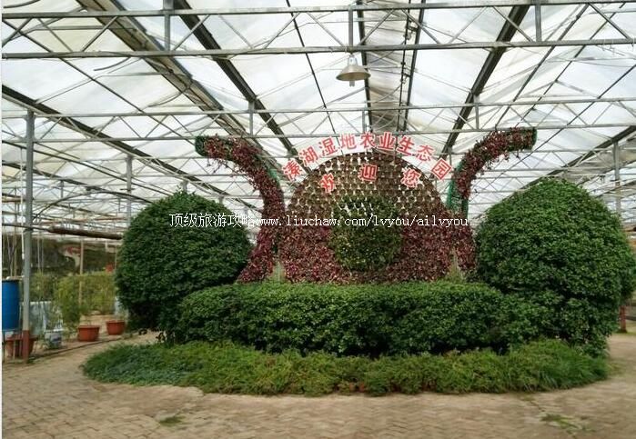 3A�ں�ʪ��ũҵ��̬԰���ι���