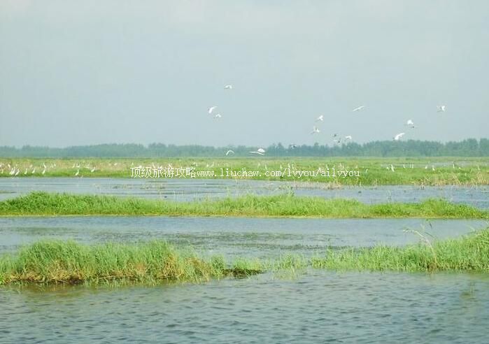 5A��������ʪ�ؾ������ι���