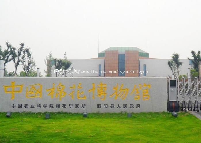 3A�����й��޻���������ι���