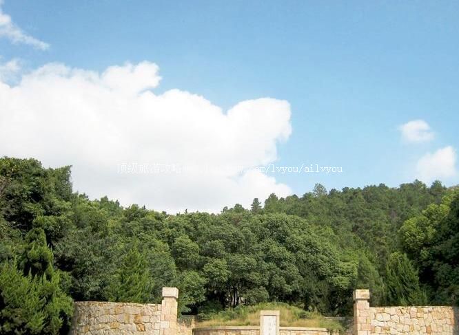 ���ݺ�����Ĺ���ι���