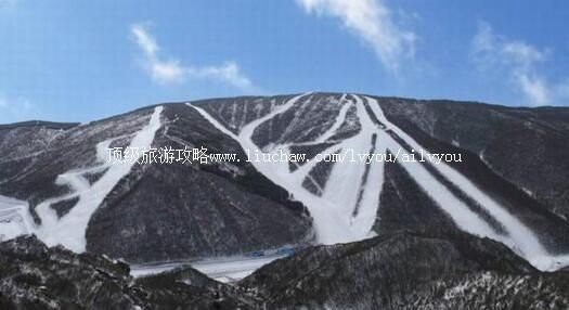 4A�ӱ�����������ѩ�����ι���