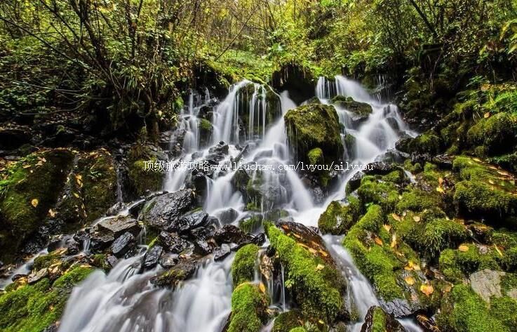4A陕西安康飞渡峡旅游攻略