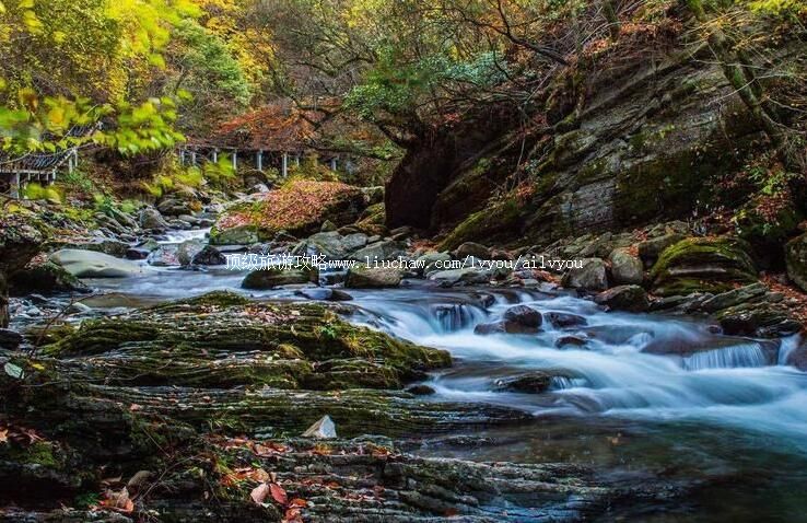 4A陕西安康平利天书峡景区旅游攻略