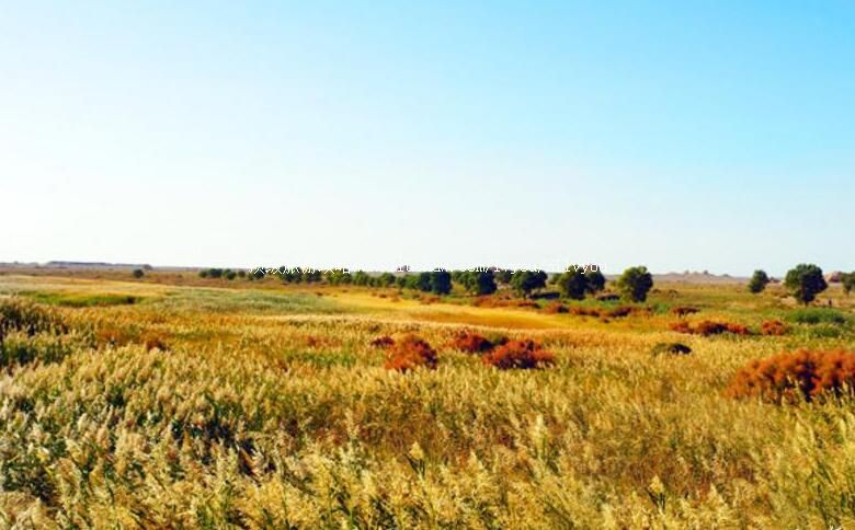 甘肃敦煌西湖国家级自然保护区旅游攻略