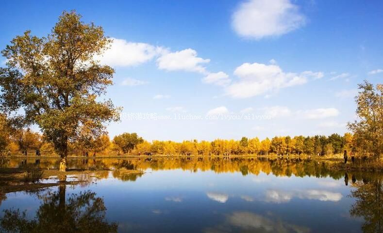 4A甘肃瓜州锁阳城旅游攻略