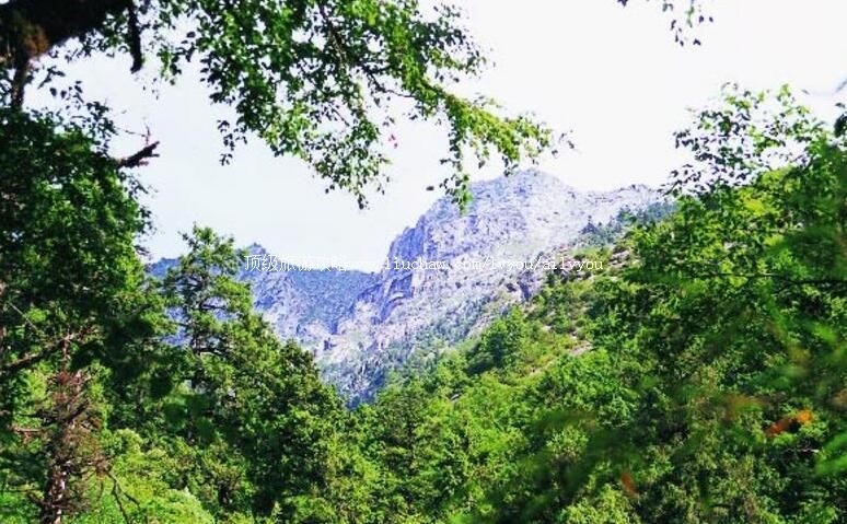 �����ˮ�����Ҽ���Ȼ���������ι���