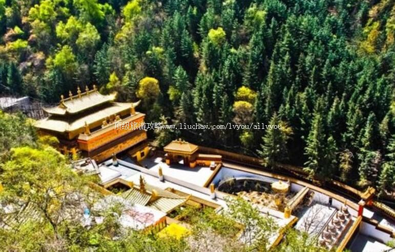 2A��������ʯ�𹵹���ɭ�ֹ�԰���ι���