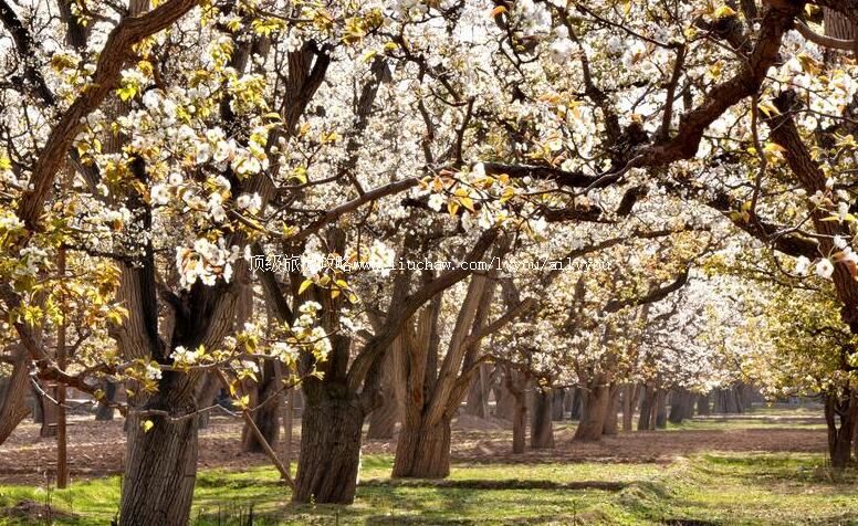 4A�������ݸ���ʲ������԰���ι���