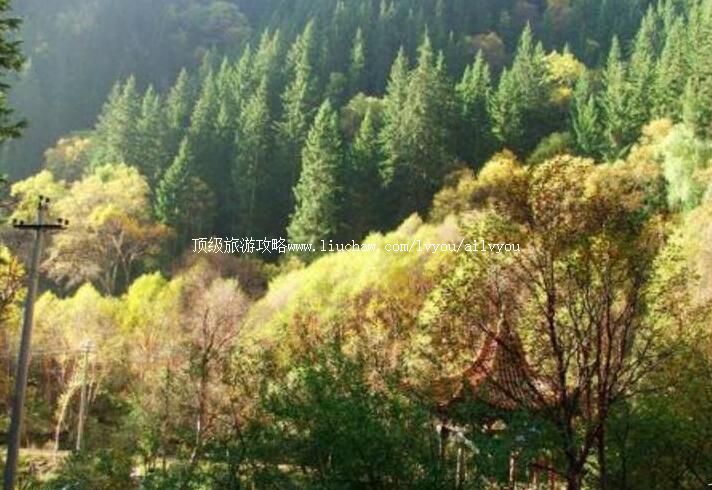 4A������³�����ι���