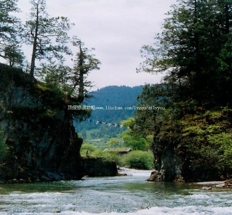 4A����׿����������ι���