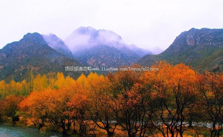 3A������ף��Ͽ����ɭ�ֹ�԰���ι���