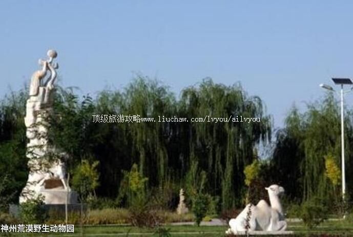 4A甘肃神州荒漠野生动物园旅游攻略