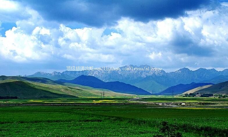 ��������ɽ���ι���