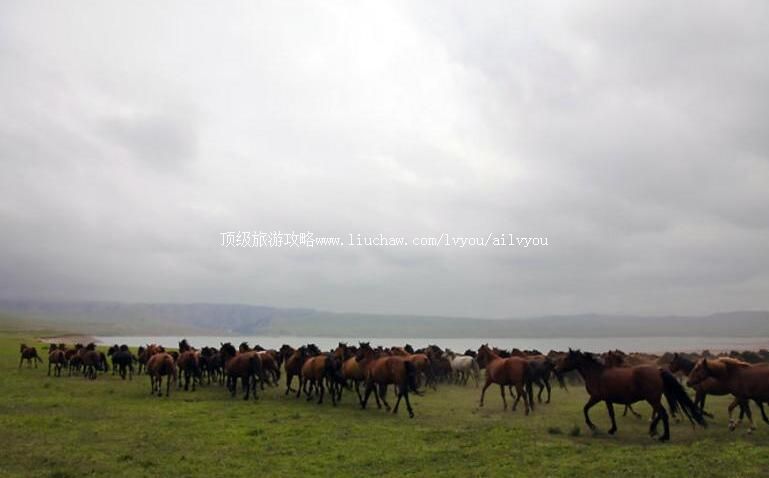 ����ɽ�����������ι���