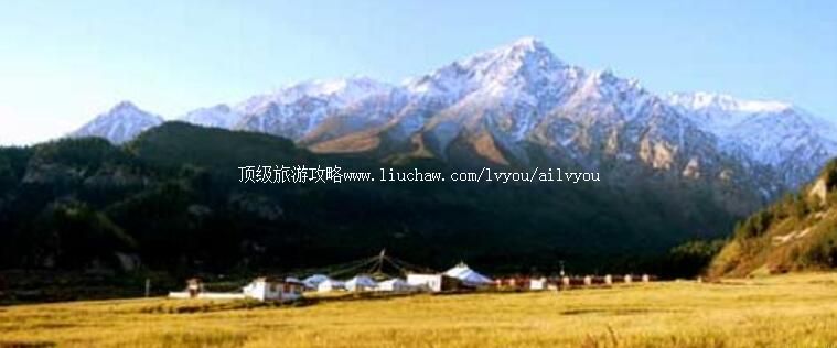 4A�����������������ι���