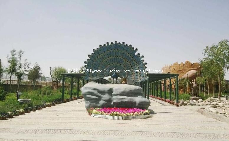 4A甘肃嘉峪关中华孔雀苑景区旅游攻略