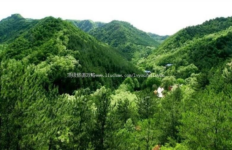 3A����̫ͳɭ�ֹ�԰���ι���