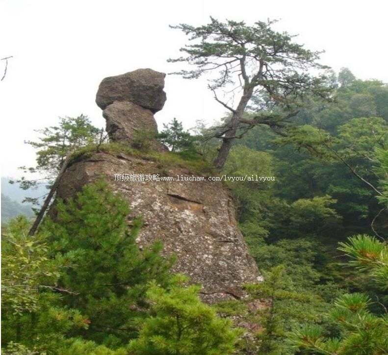 4A����ƽ������̨�羰�����ι���