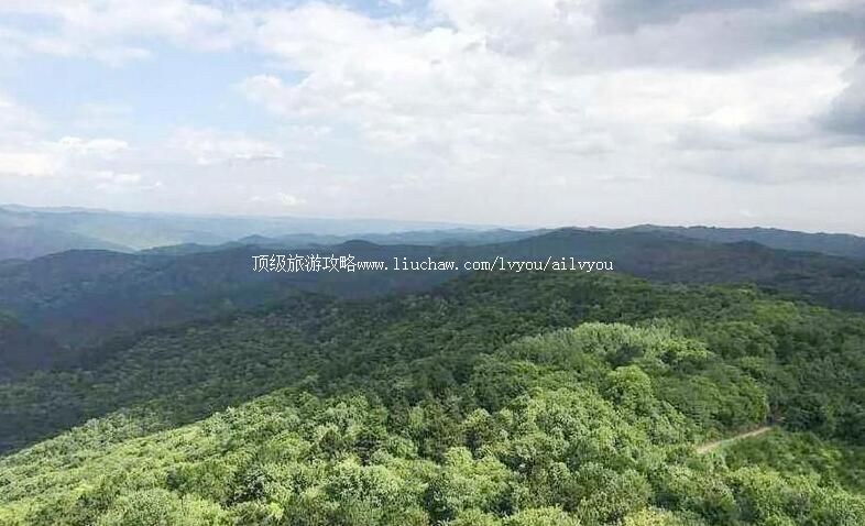 3A甘肃正宁调令关森林公园旅游攻略