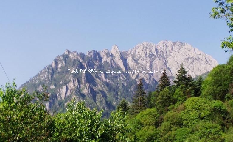 4A甘肃莲花山国家级自然保护区旅游攻略