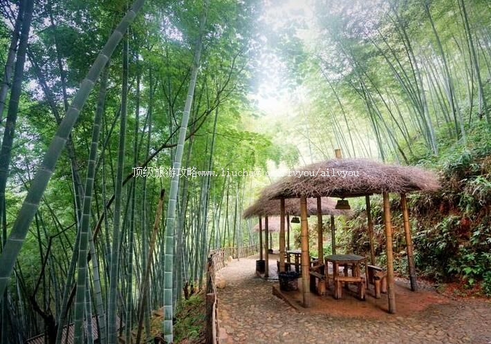 4A江西龙南虔心小镇旅游攻略