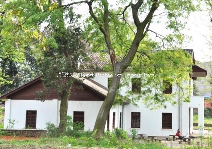 ���������л���ͯ�´��ַ���ι���