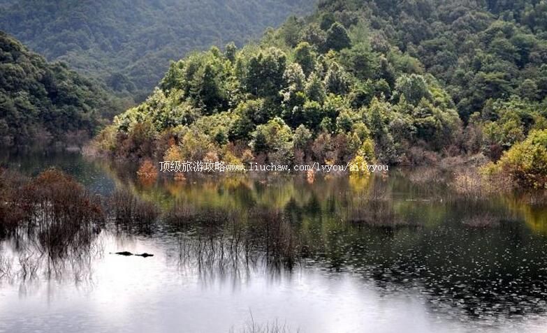 ��������ɽ����ɭ�ֹ�԰���ι���